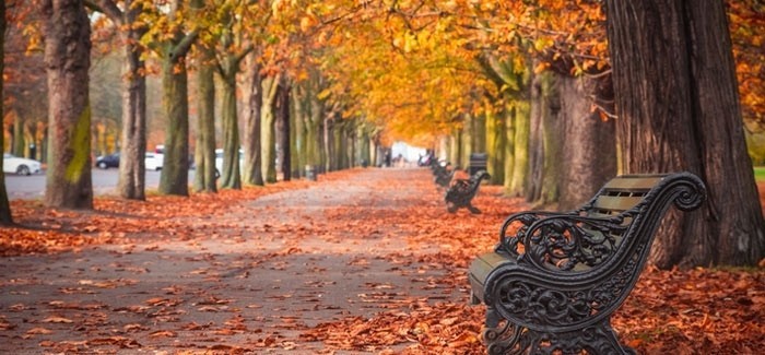 October comes but once a year